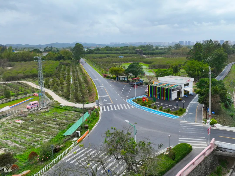 台山市县道X801线