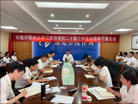 深学笃行全会精神，开创统计工作新局面——市统计局传达学习贯彻党的二十届三中全会精神