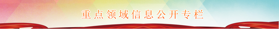 重点领域信息公开专栏